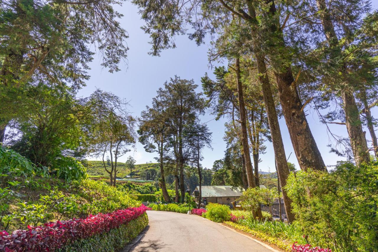 Mirage Kings Cottage Nuwara Eliya Exterior photo
